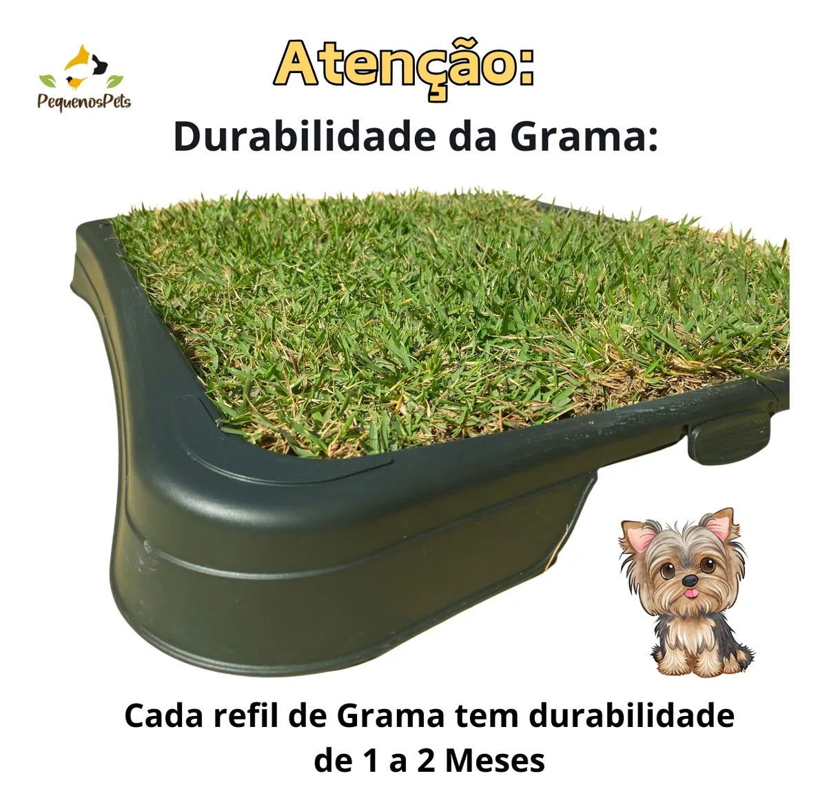 Miniatura 3 do produto